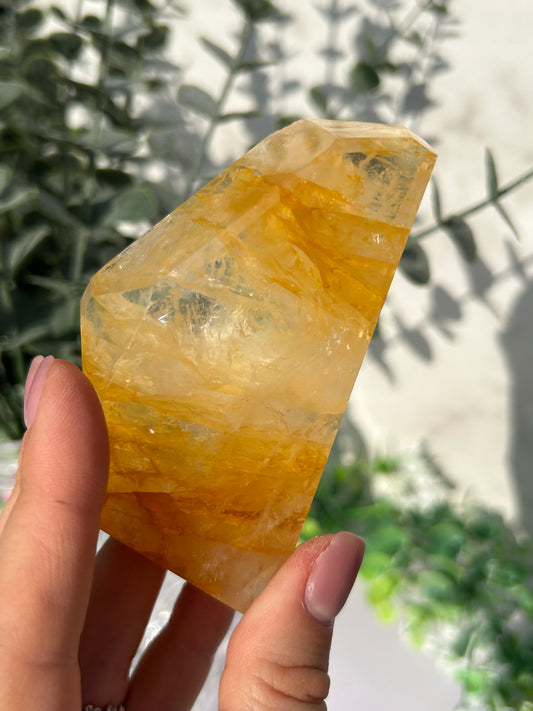 CLEAR OUT - Golden Healer 39