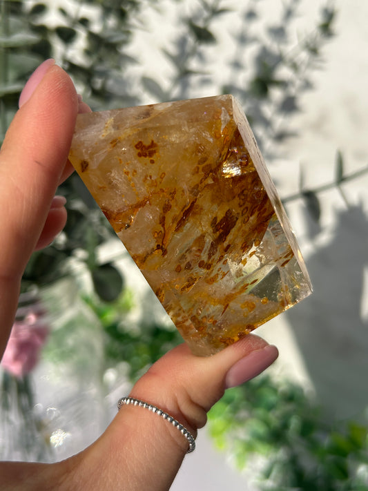 CLEAR OUT - Golden healer 23