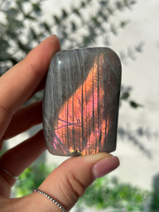 Labradorite Freeform 20r