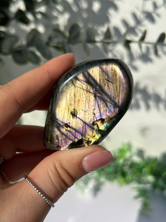 Labradorite Freeform 19