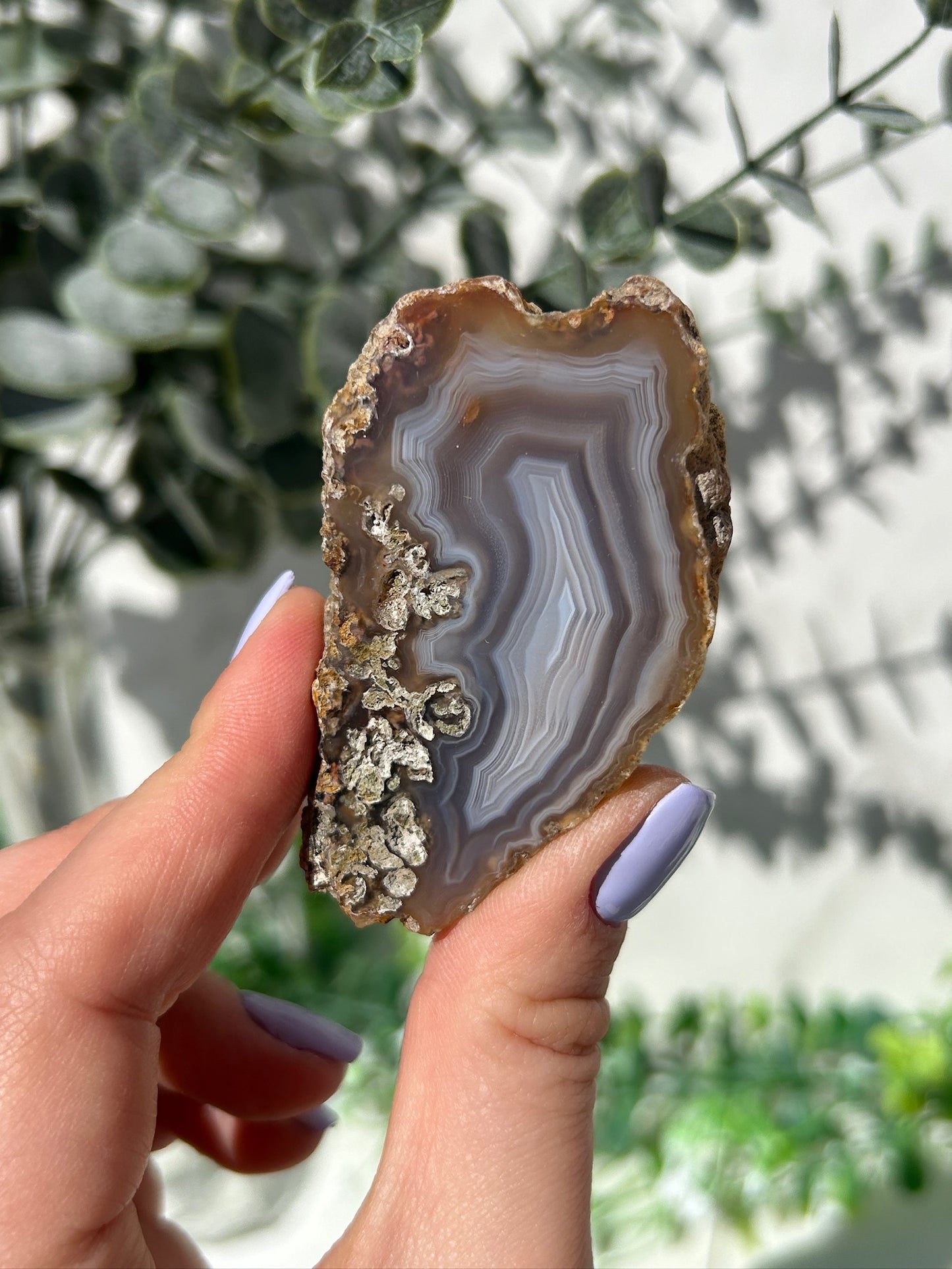Sumatran agate 50c