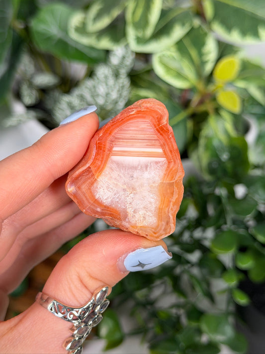 Agate Creek Agate 25a