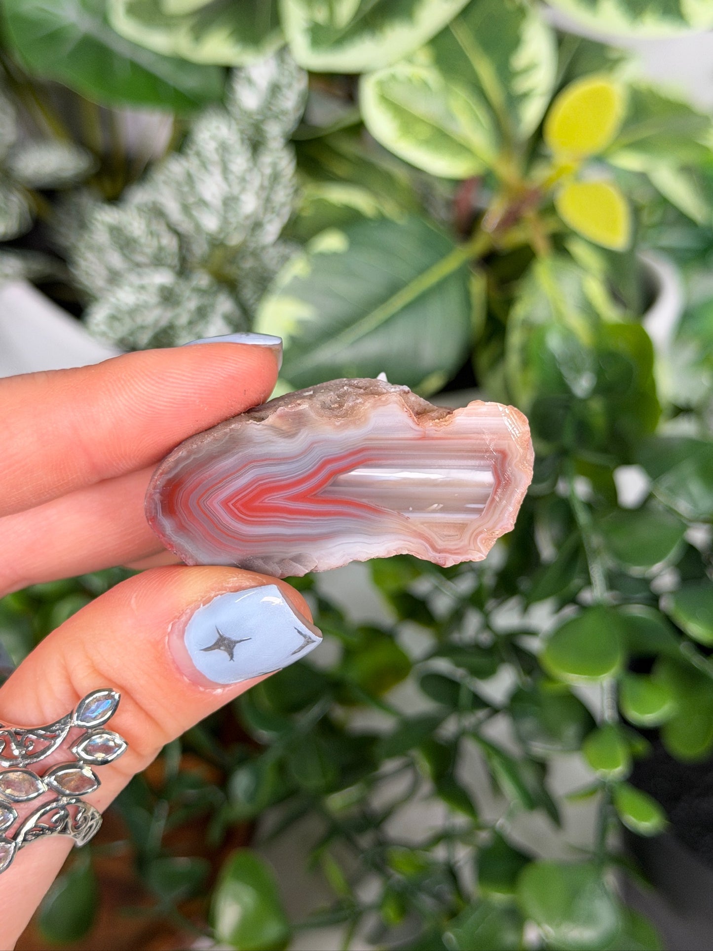 Agate Creek Agate 18b