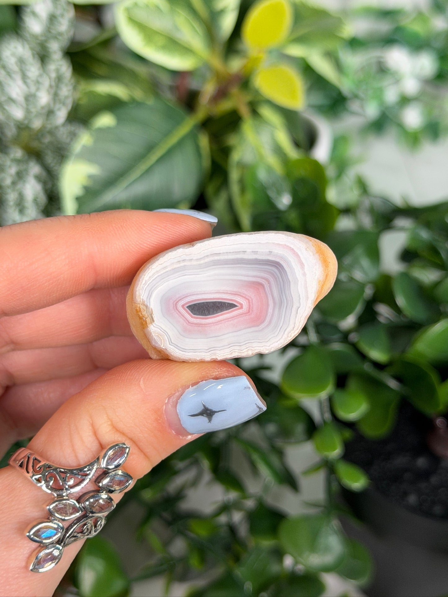 Agate creek agate 21f