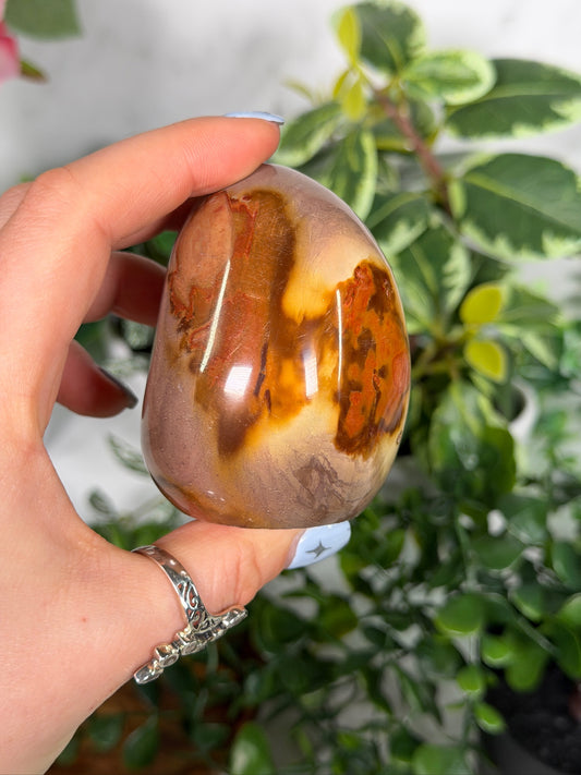 Polychrome Freeform 20