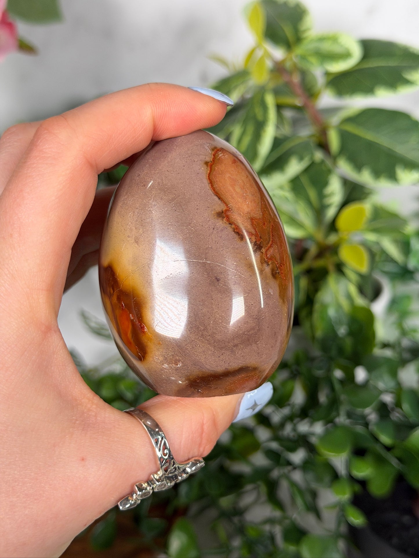 Polychrome Freeform 20