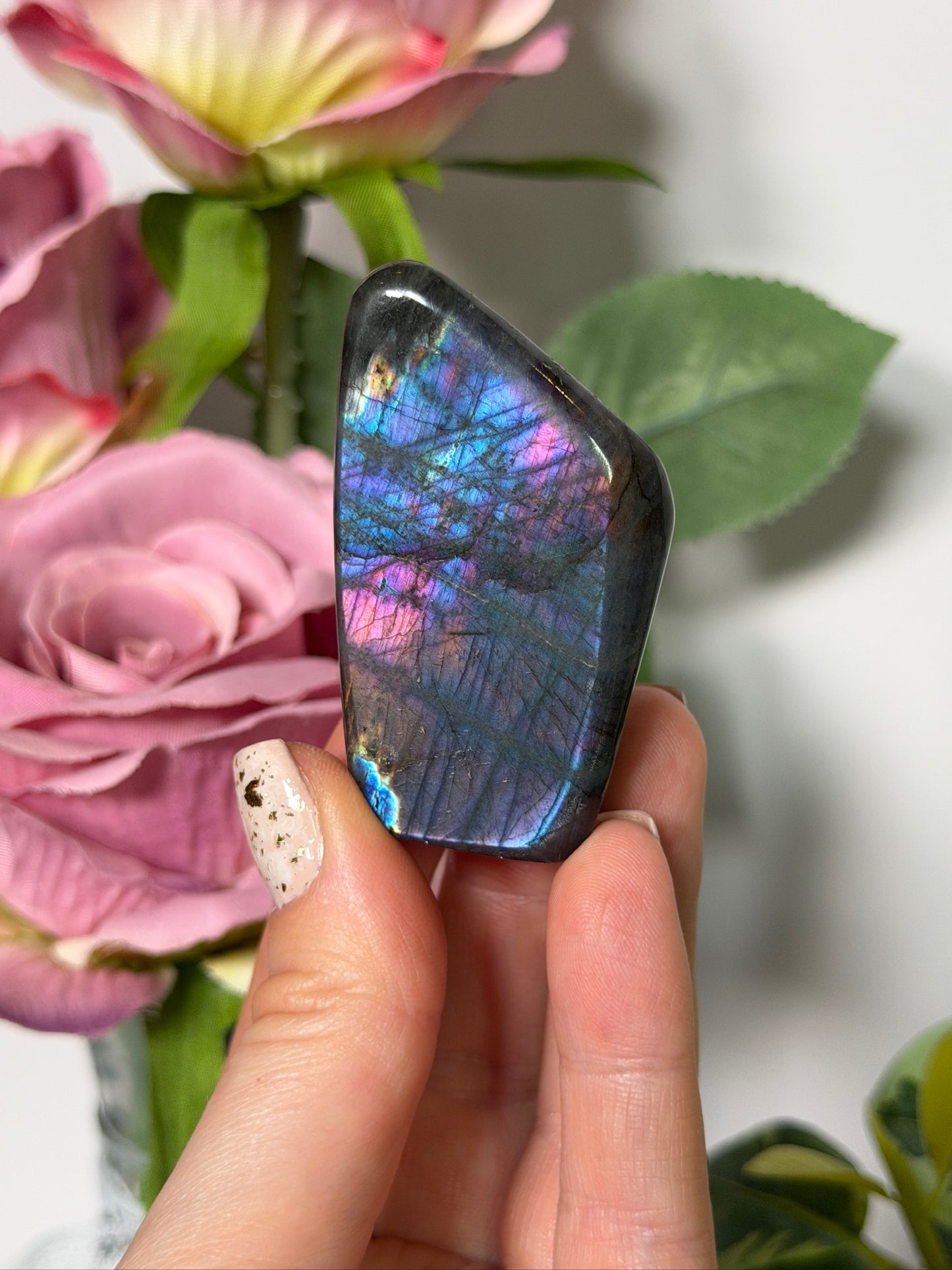 Labradorite Freeform 26n