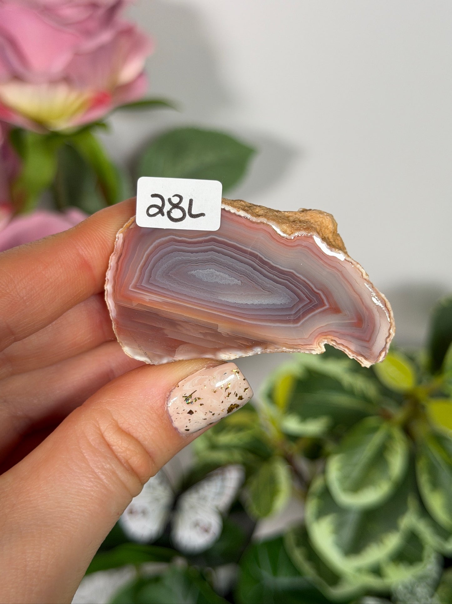 Agate creek agate 28L