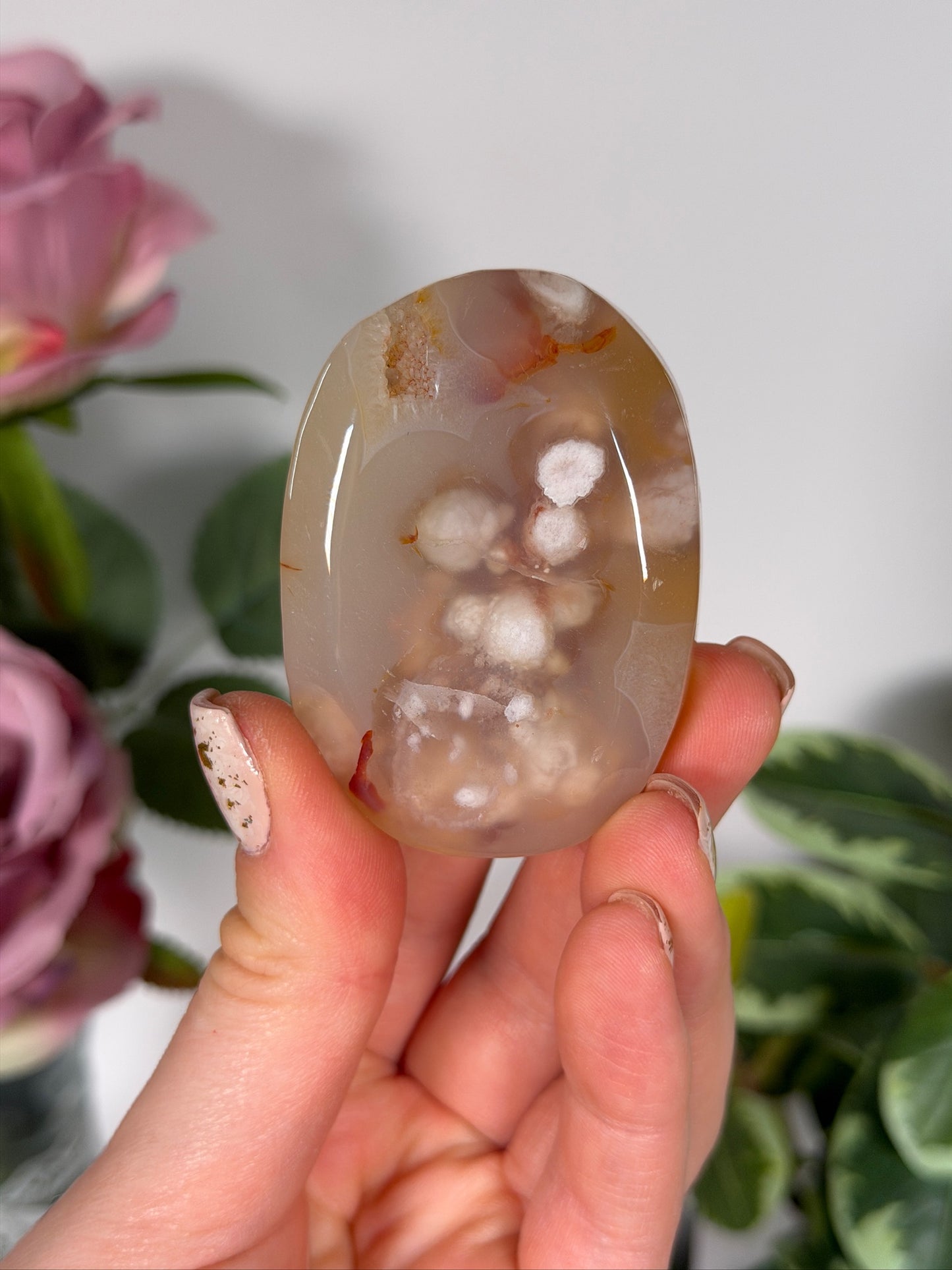 Flower agate palm 9s