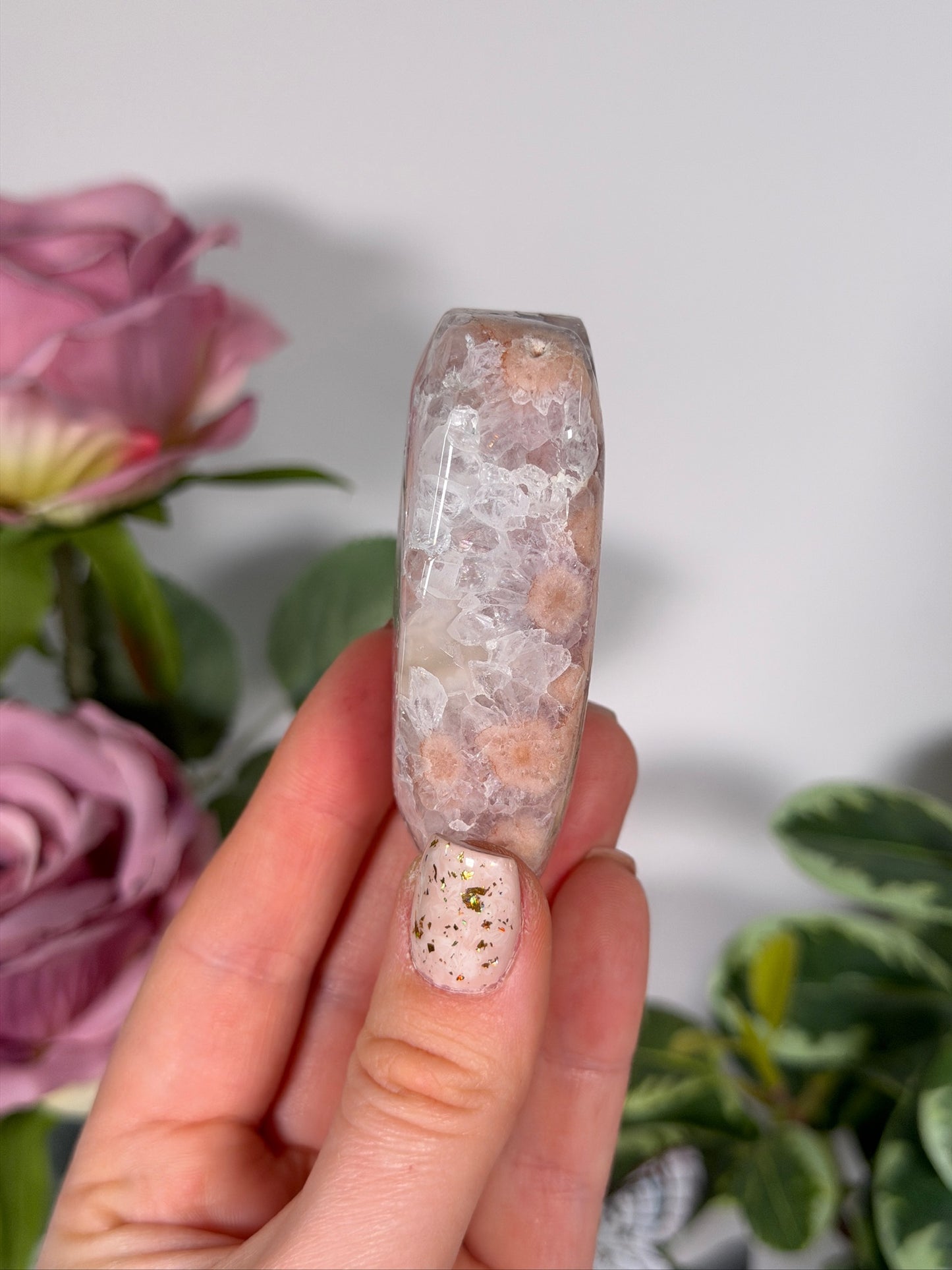 Flower agate palm 20