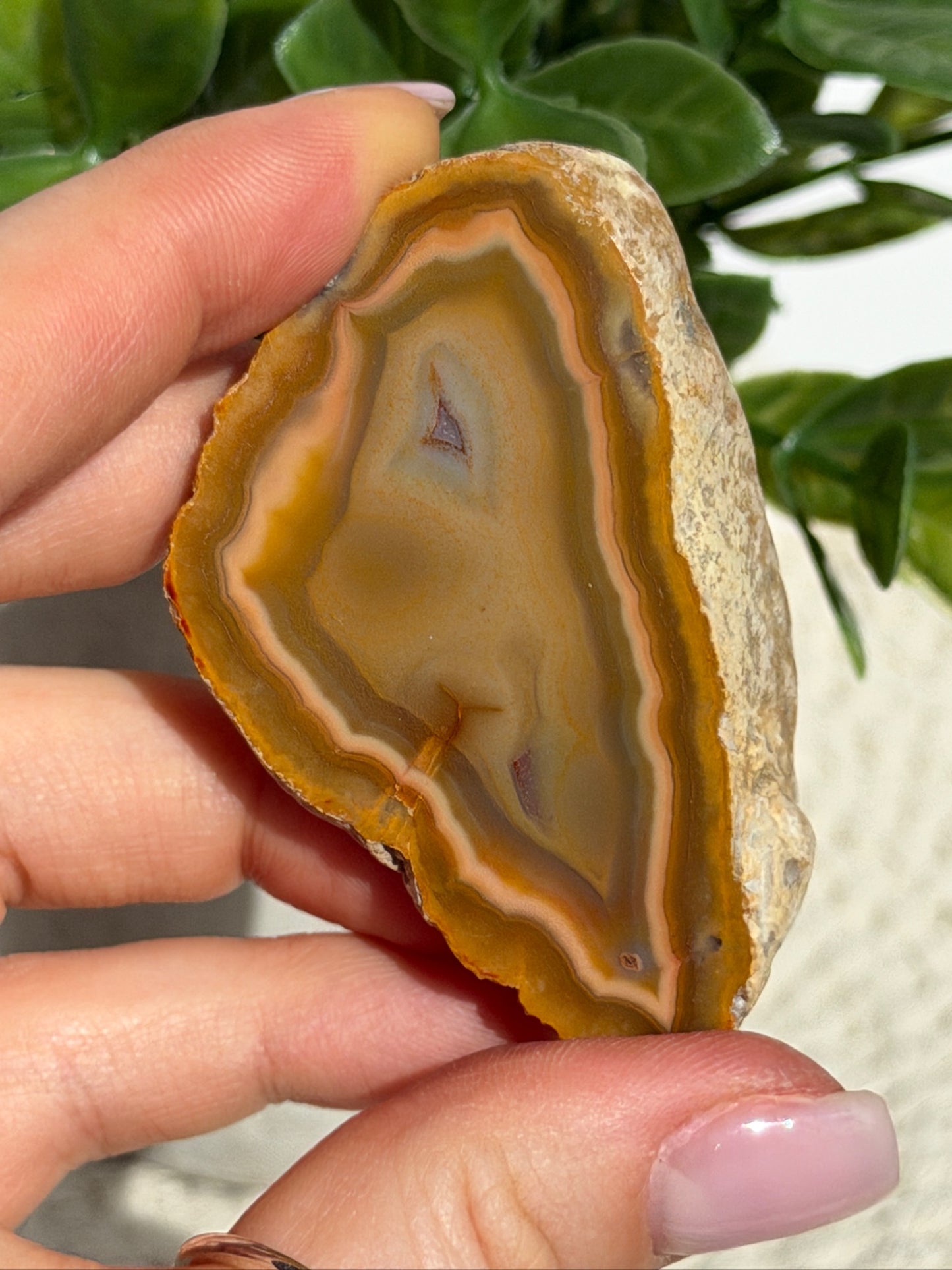 Sumatran agate pair 40