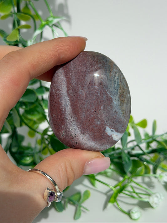Sea jasper palm 9