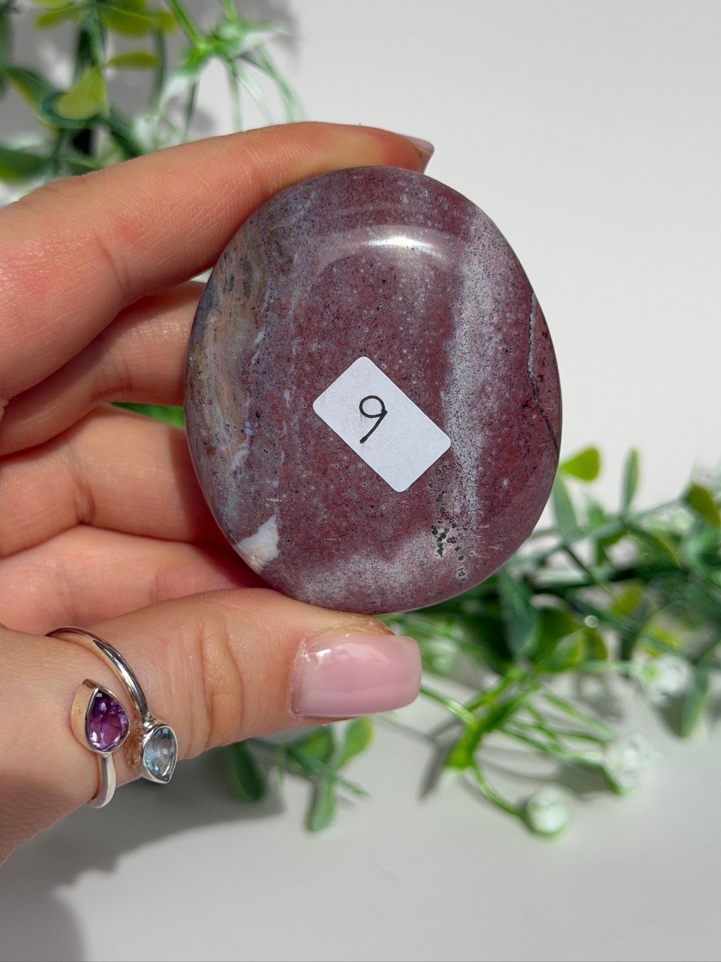 Sea jasper palm 9