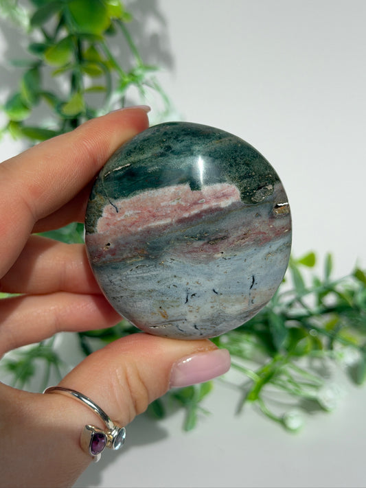 Sea jasper palm 15