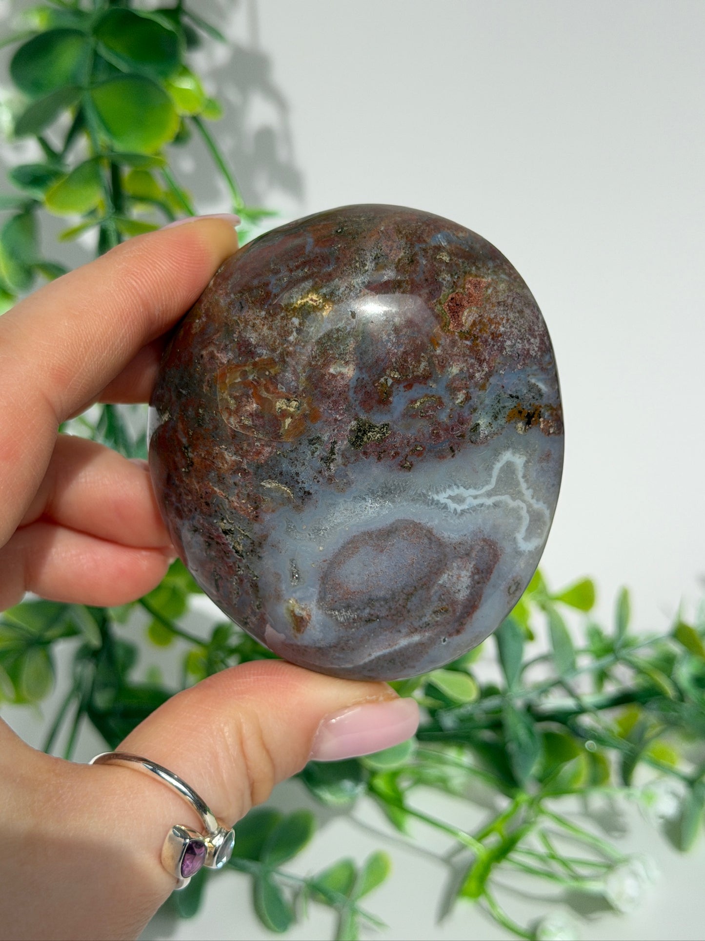 Sea jasper palm 18