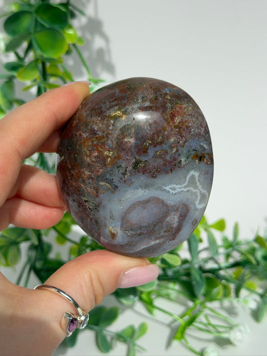 Sea jasper palm 18