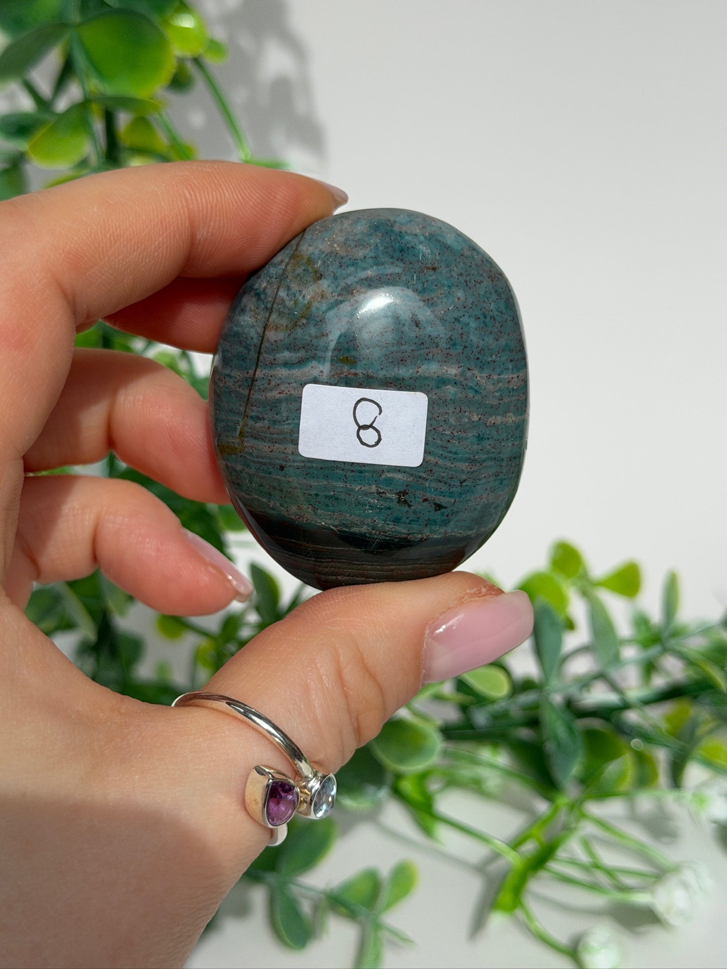 Sea jasper palm 8