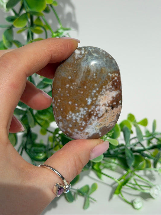 Sea jasper palm 10