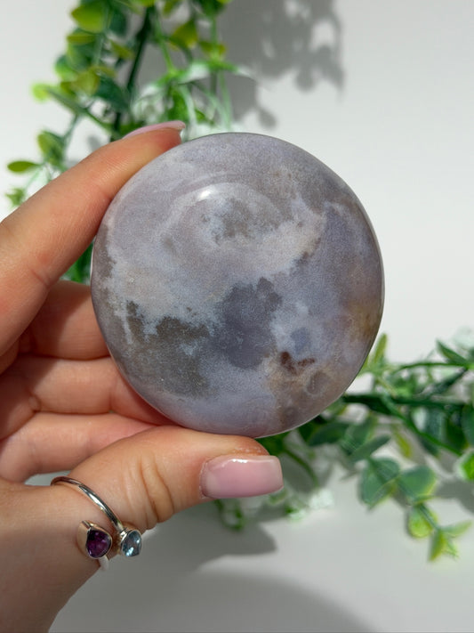 Sea jasper palm 21