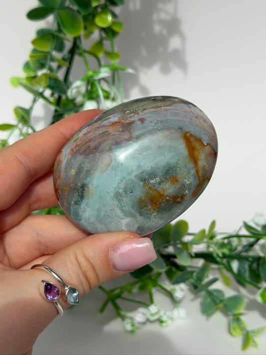 Sea jasper palm 16