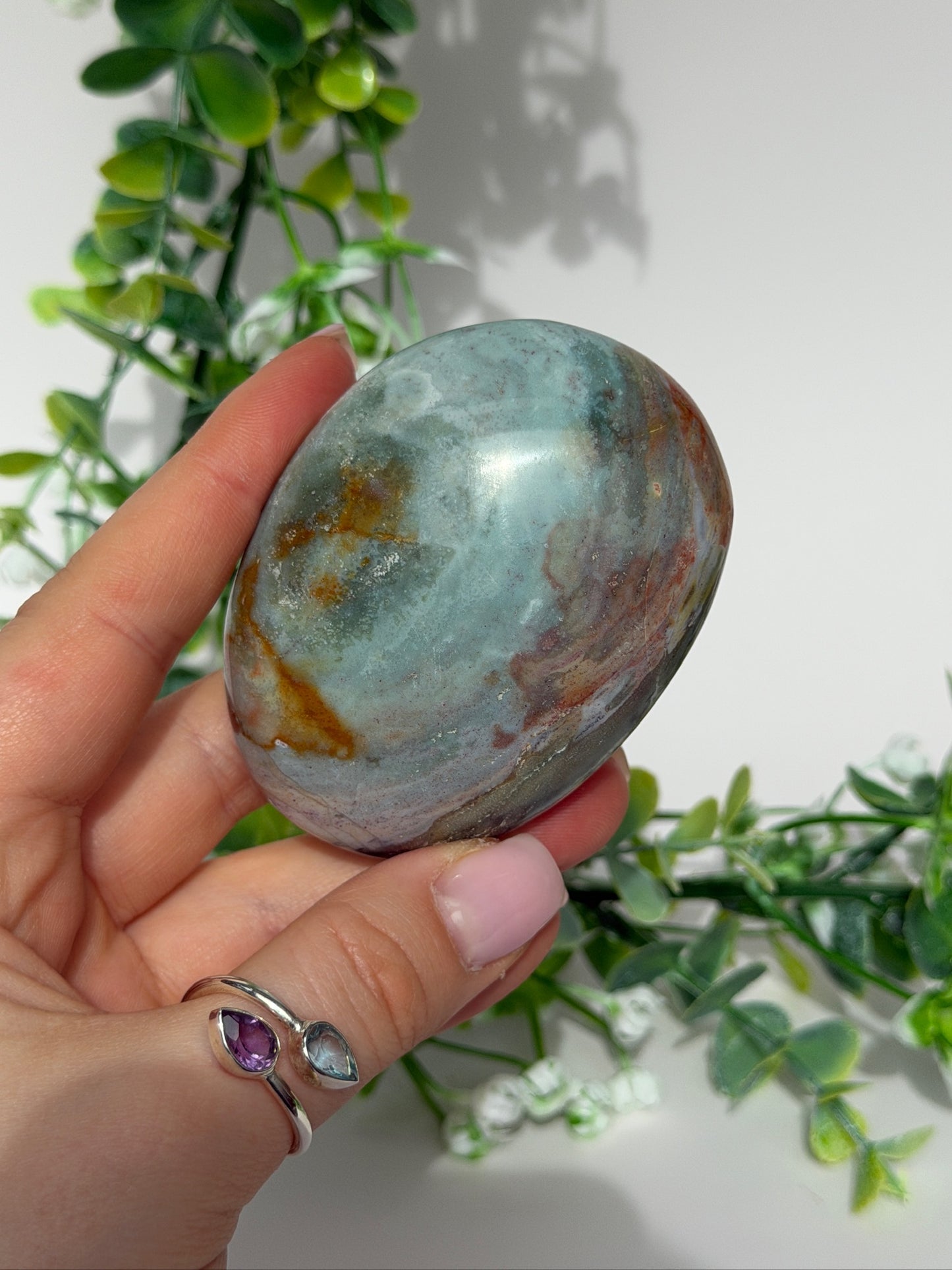 Sea jasper palm 16