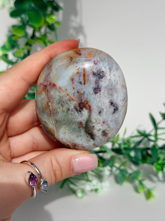 Sea jasper palm 18b