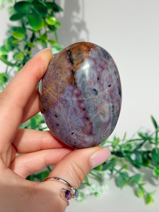Sea jasper palm 19