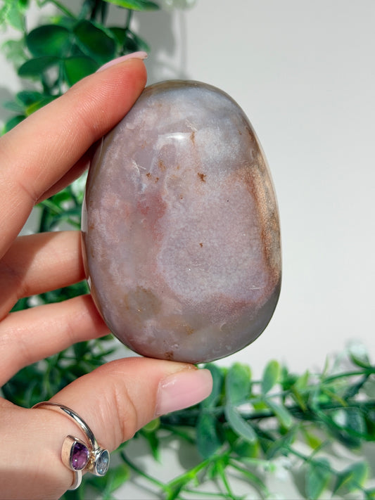 Sea jasper palm 23