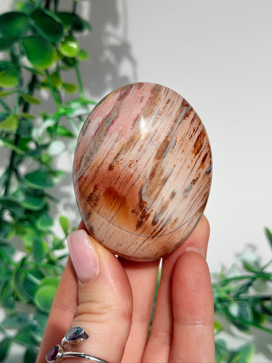 Sea jasper palm 14
