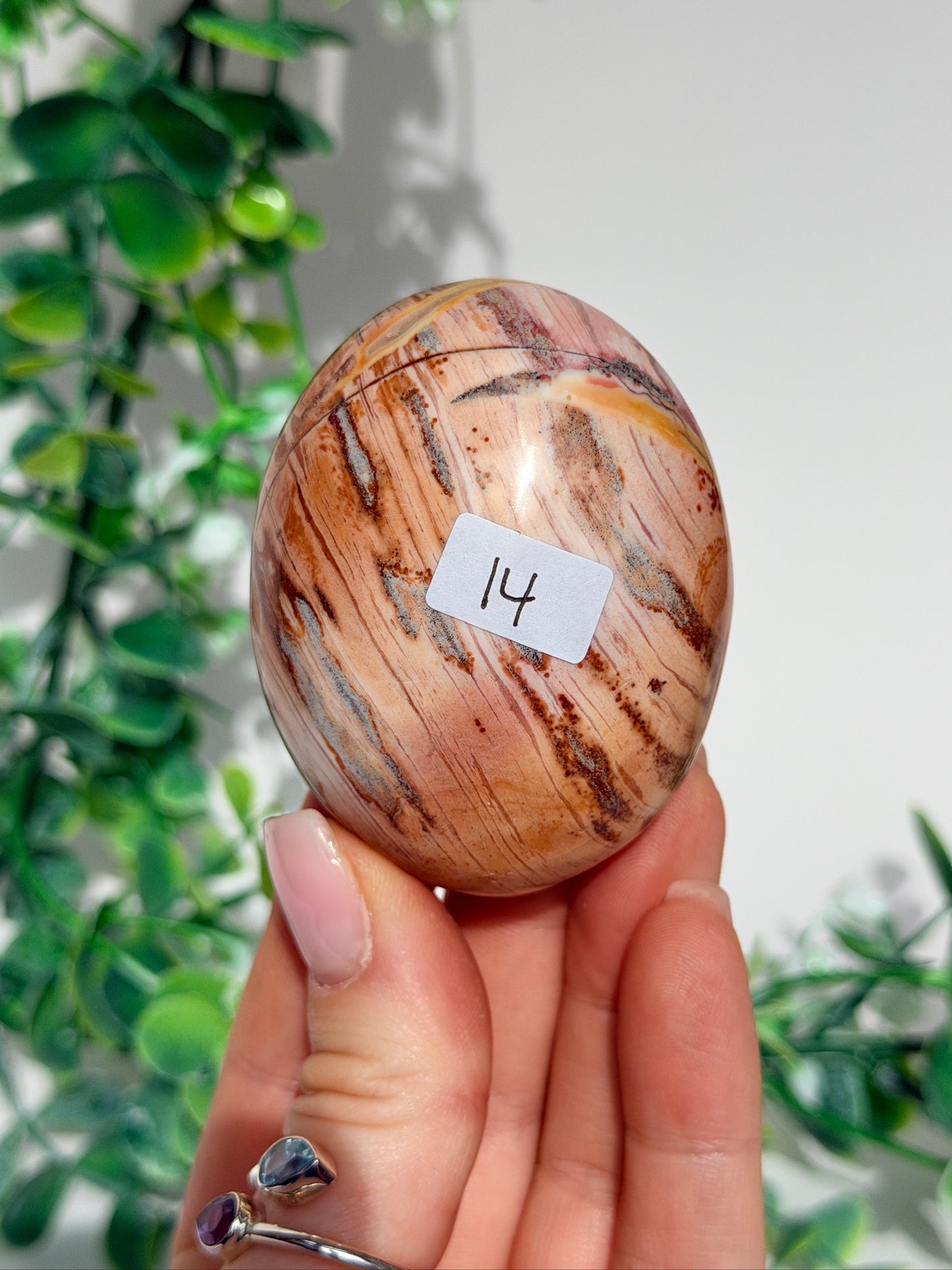 Sea jasper palm 14