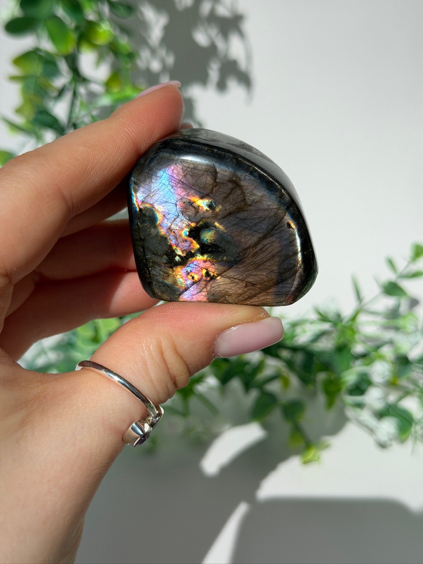 Labradorite Freeform 15