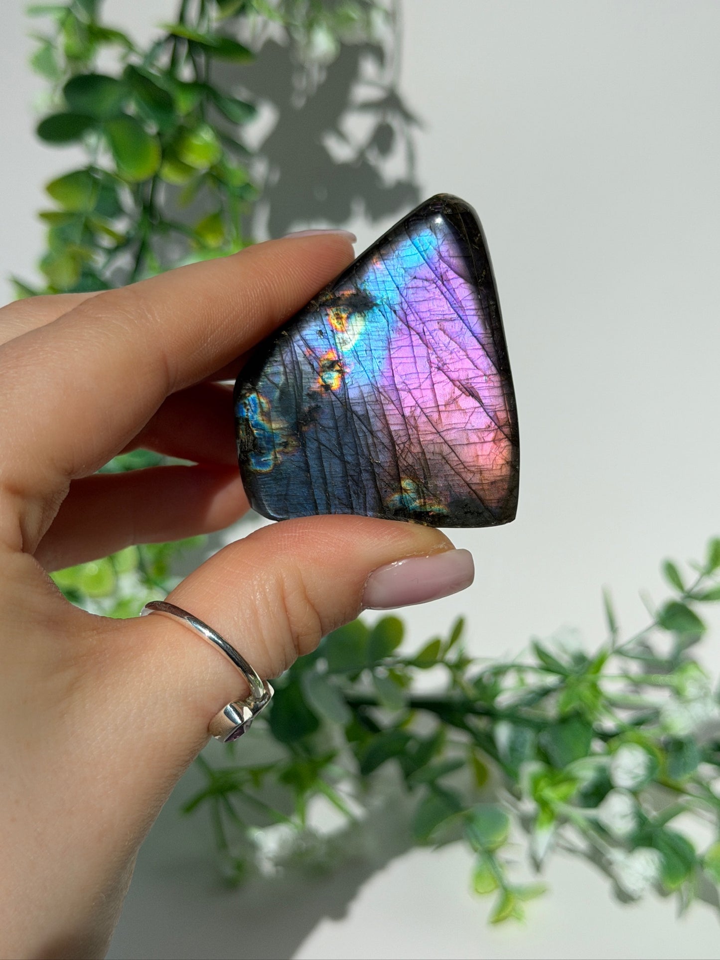Labradorite Freeform 26