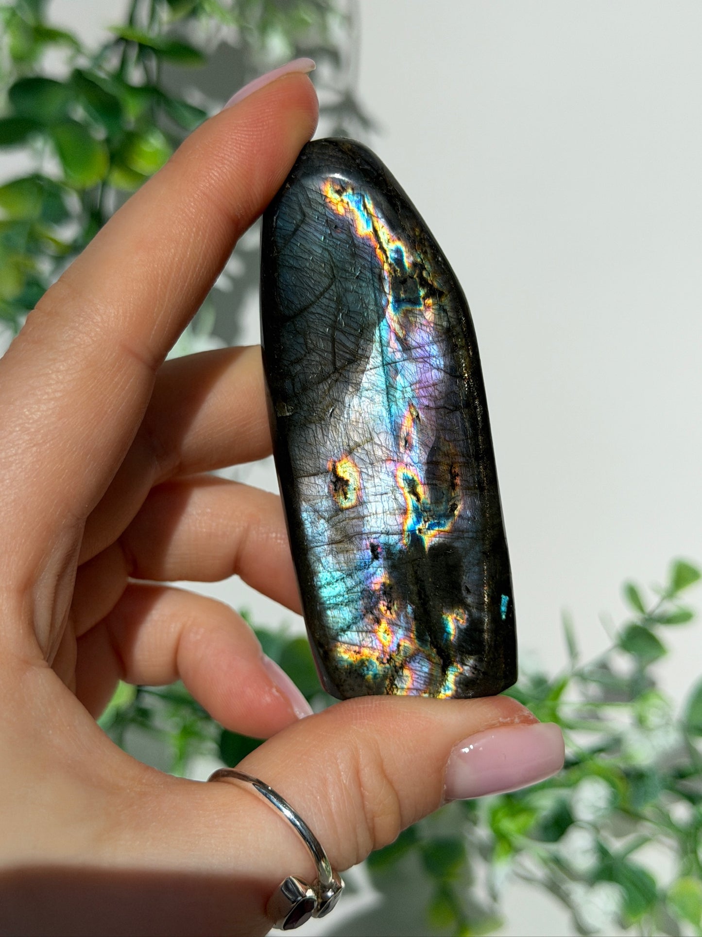 Labradorite Freeform 17y