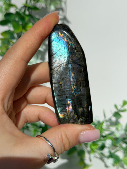 Labradorite Freeform 17y