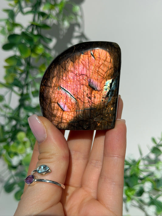 Labradorite Freeform 20t