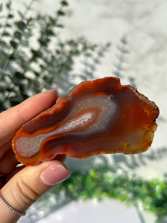 Agate creek agate 36p