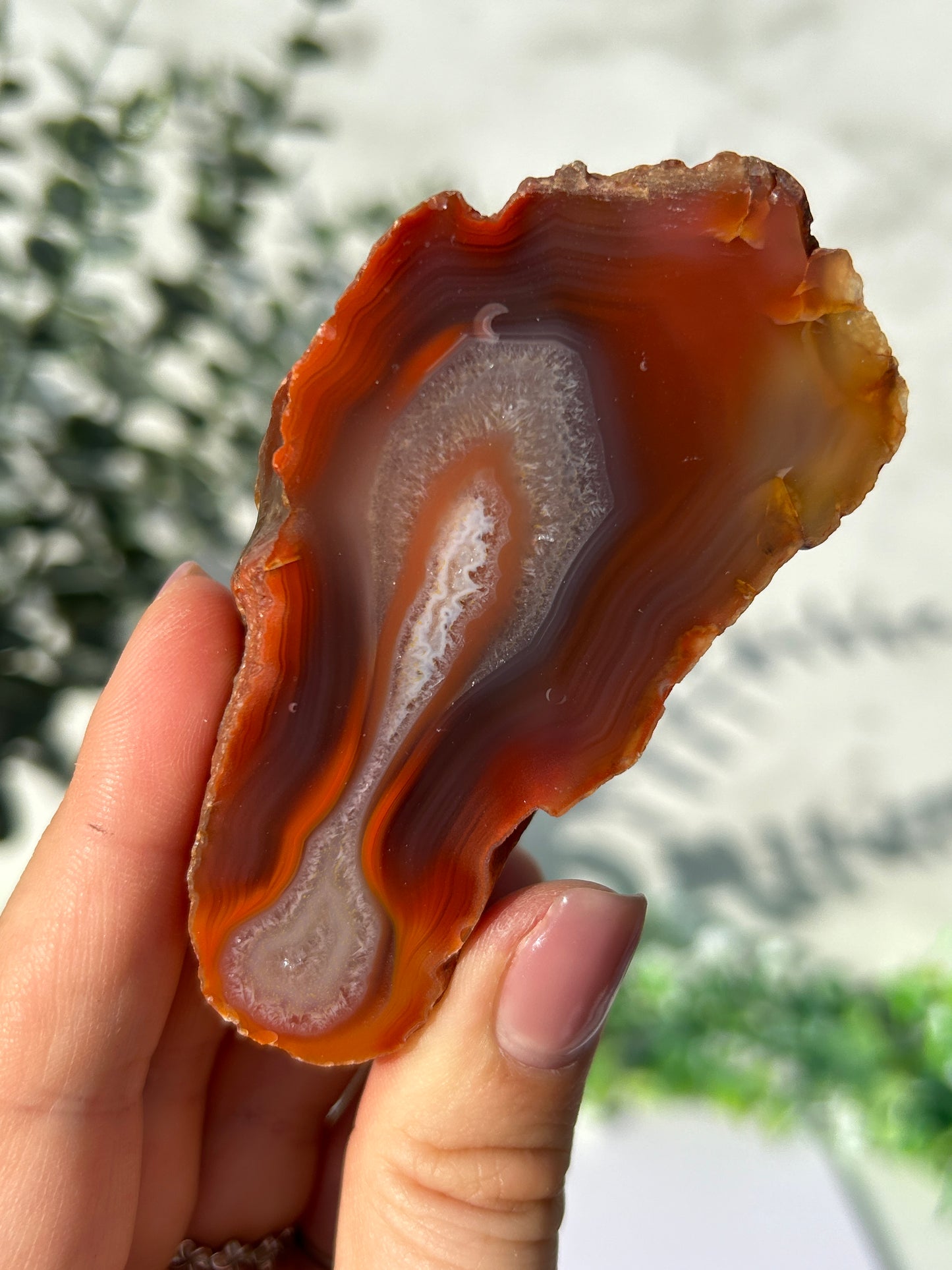 Agate creek agate 36p