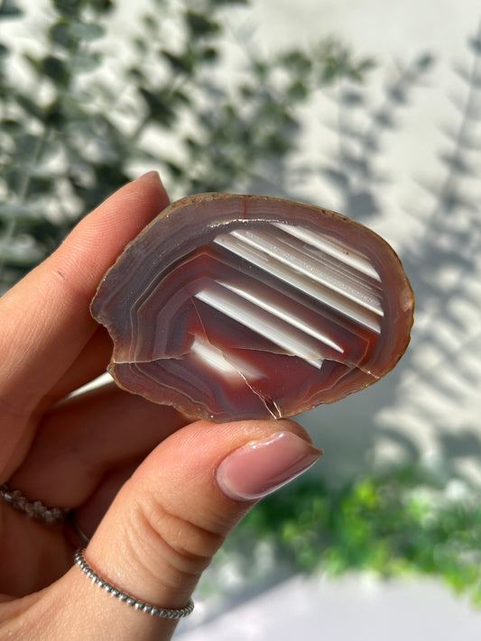 Agate creek agate 25r