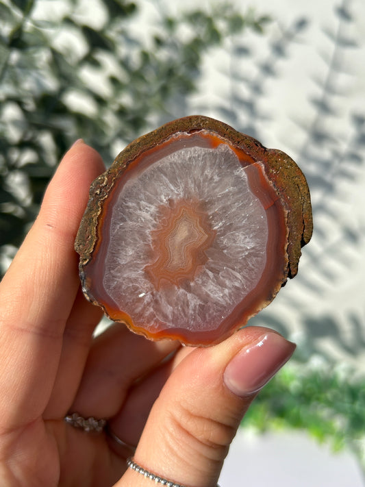 Agate creek agate 29f