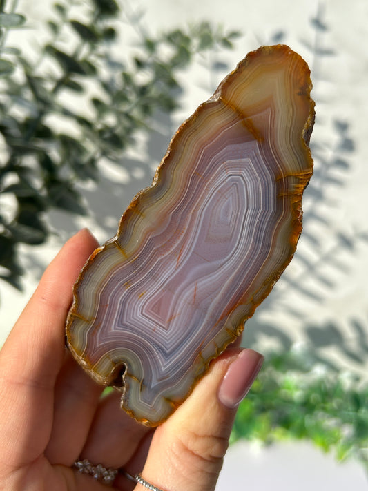 Sumatran Agate 36L