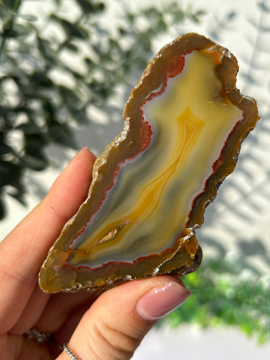 Sumatran Agate 31P