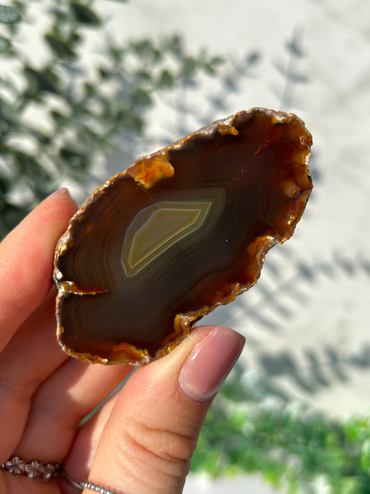 Sumatran Agate 25M