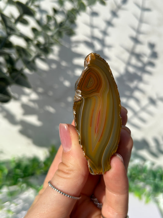 Sumatran Agate 26J