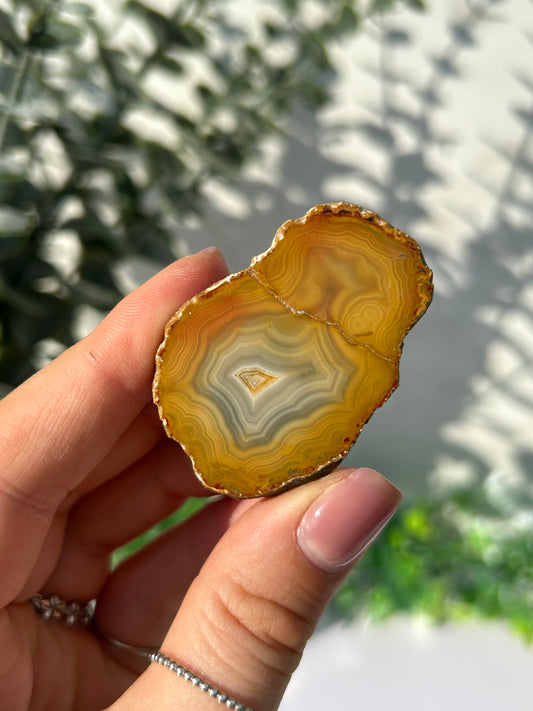 Sumatran Agate 22s