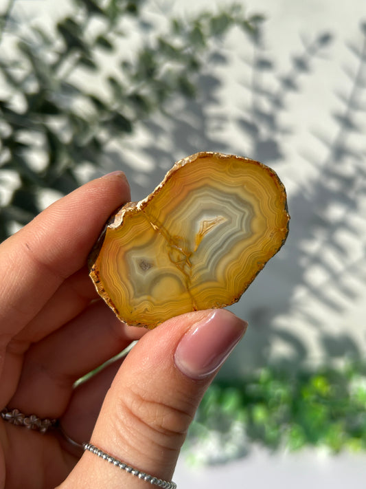 Sumatran Agate 22n