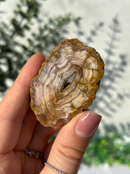 Sumatran Agate 22i