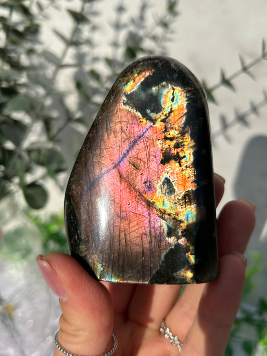 CLEAR OUT - Labradorite 13