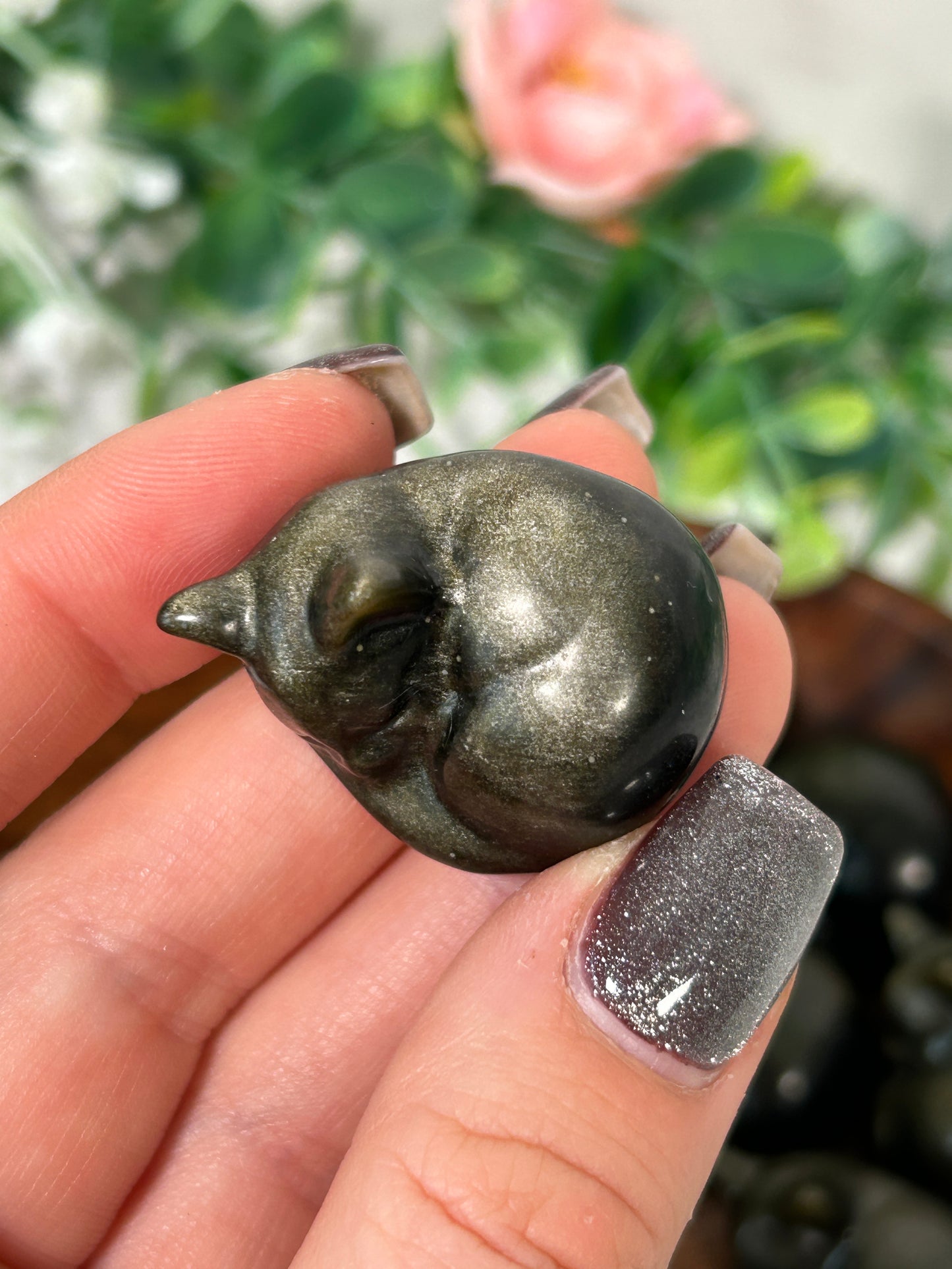 Gold Sheen Obsidian Kitty