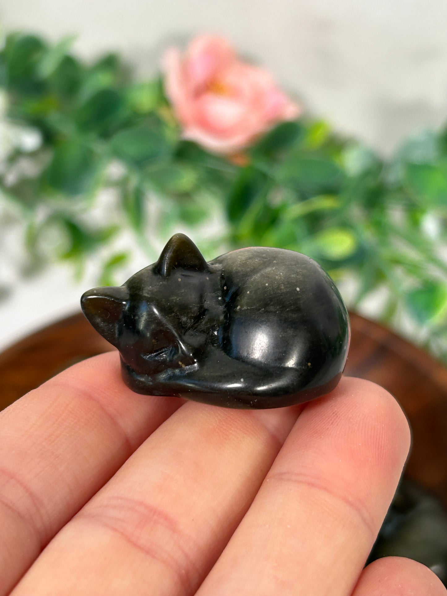 Gold Sheen Obsidian Kitty