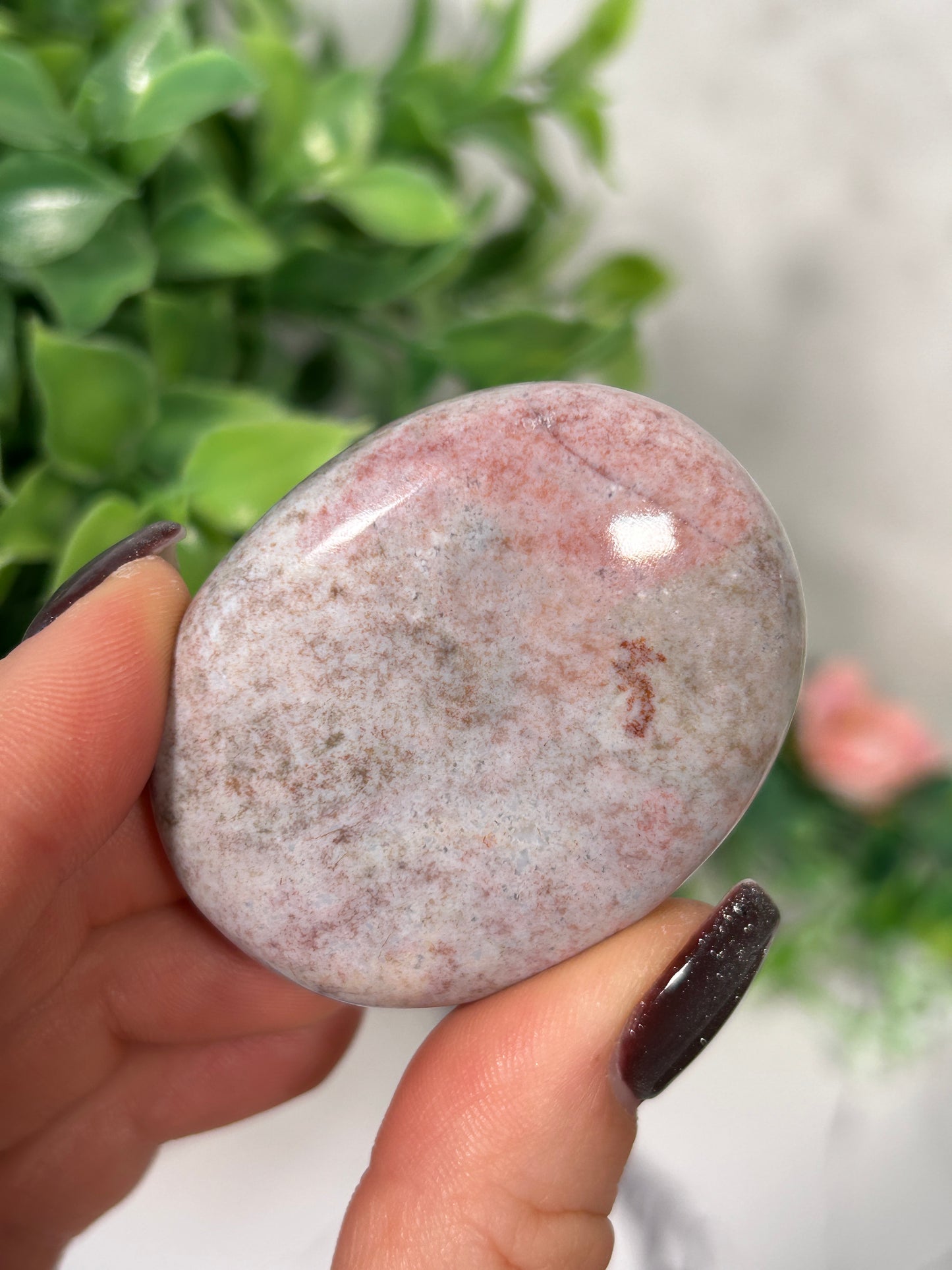 Unicorn Jasper Palms